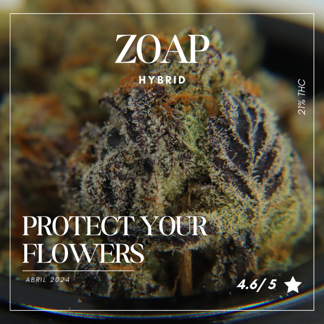 Explicit Album