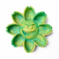 Ceniflor