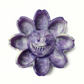 Ceniflor